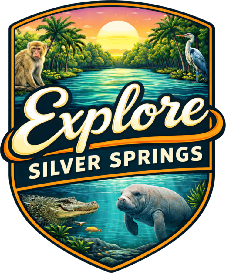 Explore Silver Springs